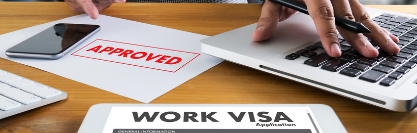 Business and Employment Visa for India