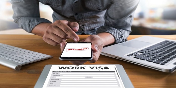 Employment Visa: Eligibility and Conversion of Visa