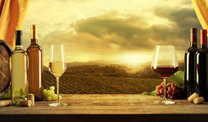Indian Wine Industry - Set up a Winery in India