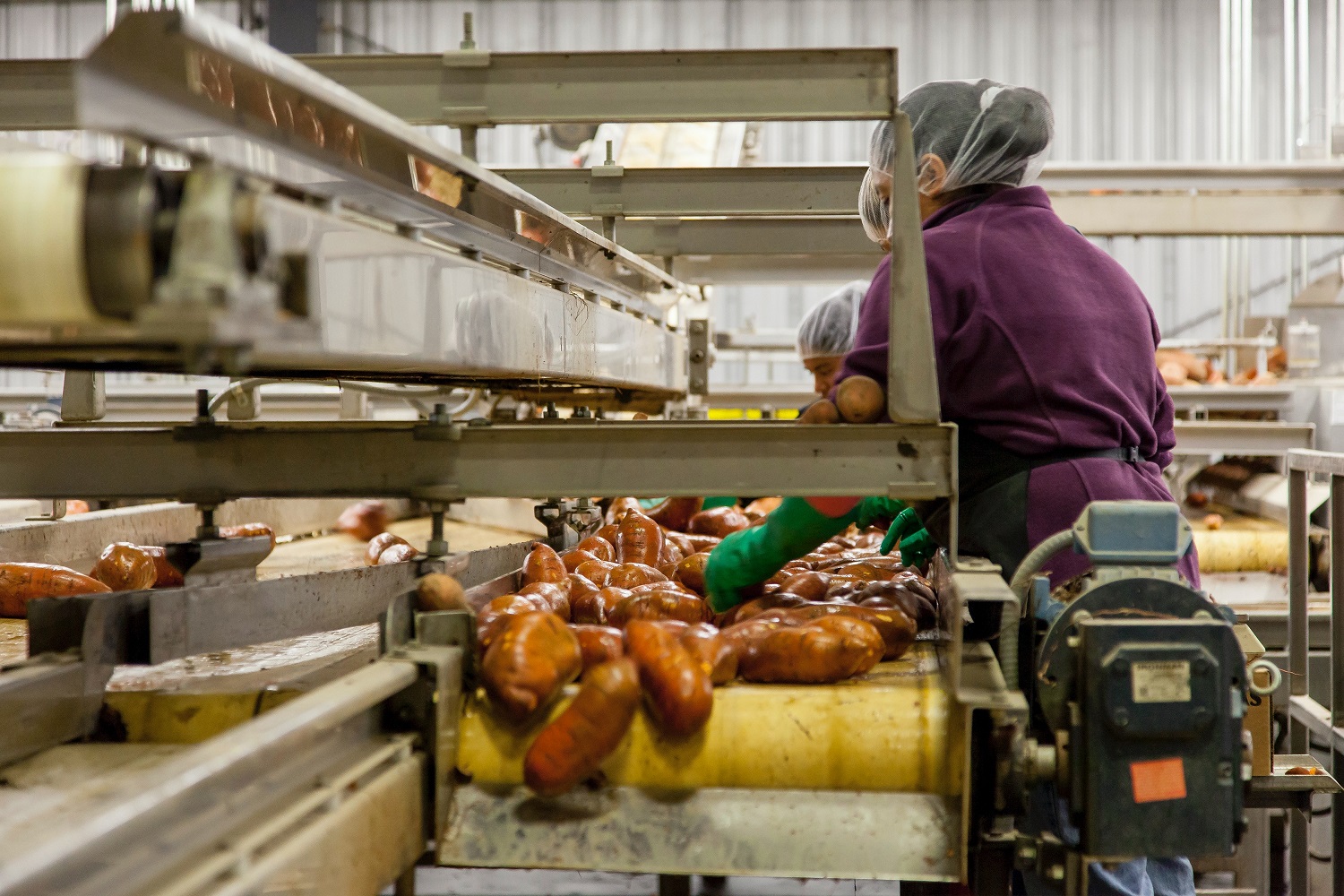 PLI Scheme for the Food Processing Industry in India