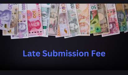 Late Submission Fee (LSF) under FEMA