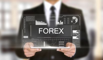 Bringing a Loan in FOREX to India