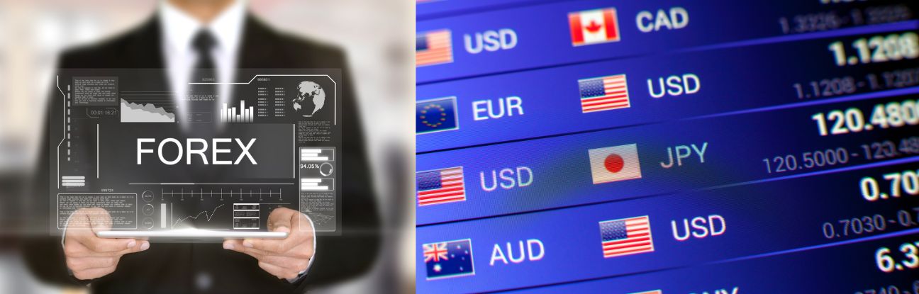 Bringing a Loan in FOREX to India