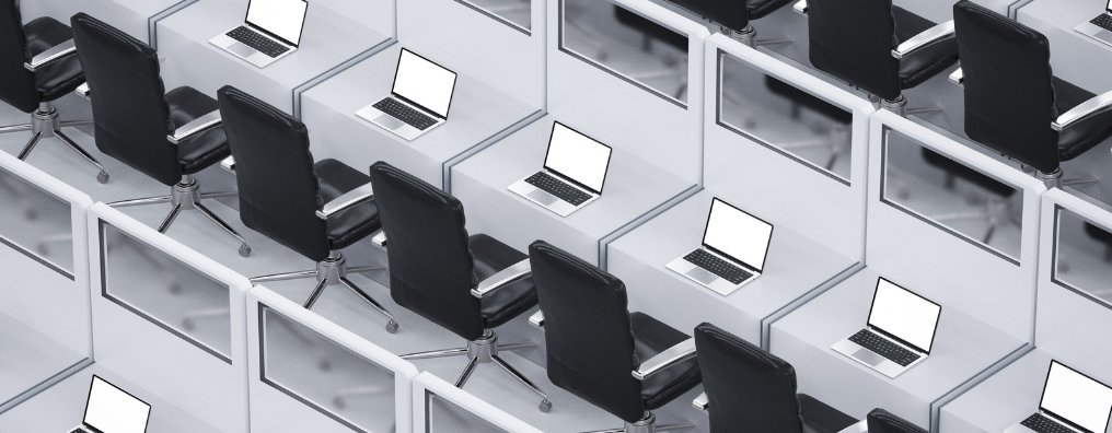 Setting up a Section 8 Company in India