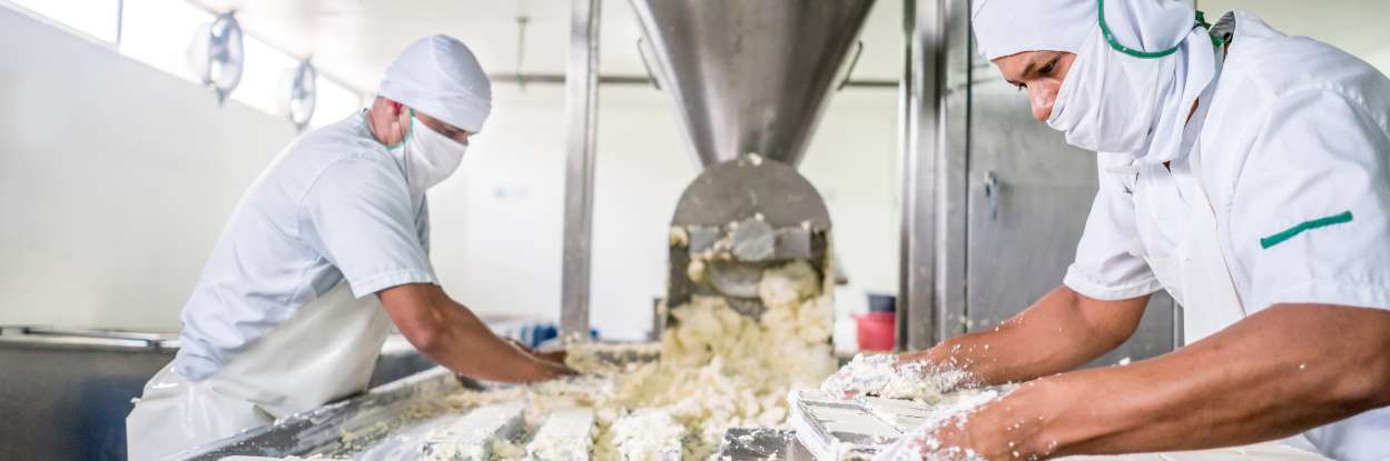 Dairy Processing Industry in India – Business Opportunities & Advantages