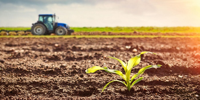 Making Wastelands in India Productive: Crucial for poverty alleviation